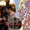 Science & tech: these 5 nyc restaurants have the hottest