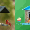 Travel & lifestyle: 5 best smart bird feeders with cameras