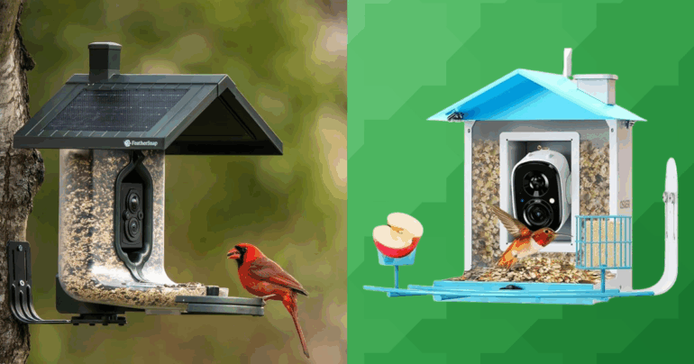 Travel & lifestyle: 5 best smart bird feeders with cameras