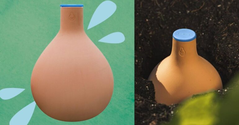 Travel & lifestyle: the growoya pot waters your plants for