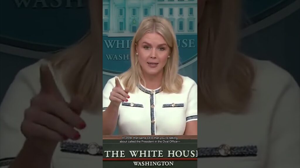 Press Secretary Karoline Leavitt on NPR and PBS: "These are not honest news organizations."