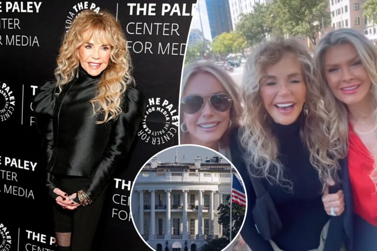 Gossip & rumors: dyan cannon denied white house entry after