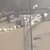 Multiple Fatalities After Flooding In Tennessee * 100PercentFedUp.com * by Danielle