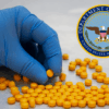 Trump approves military action against Latin American cartels deemed terrorist organizations – One America News Network