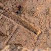 At Canhasan 3 Mound in Karaman, archaeologists uncovered one of the earliest known streets.