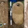 Skeltoons from the burials studies at Updown and Worth Matravers cemetries.