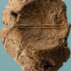 The clay seal impression bearing the name "Yeda'yah (son of) Asayahu"