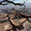 Large section of possible La Fortuna shipwreck exposed on Brunswick Town shoreline.