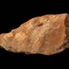 Stone tool discovered at Calio, Sulawesi