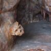 Reconstruction of the inner cave chamber where the Petralona man was discovered