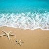 Two starfish on a sandy beach with ocean waves in the background