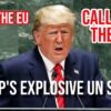 MUST WATCH: Trump CALLS OUT the UN to their FACE 'You're a Hoax!'