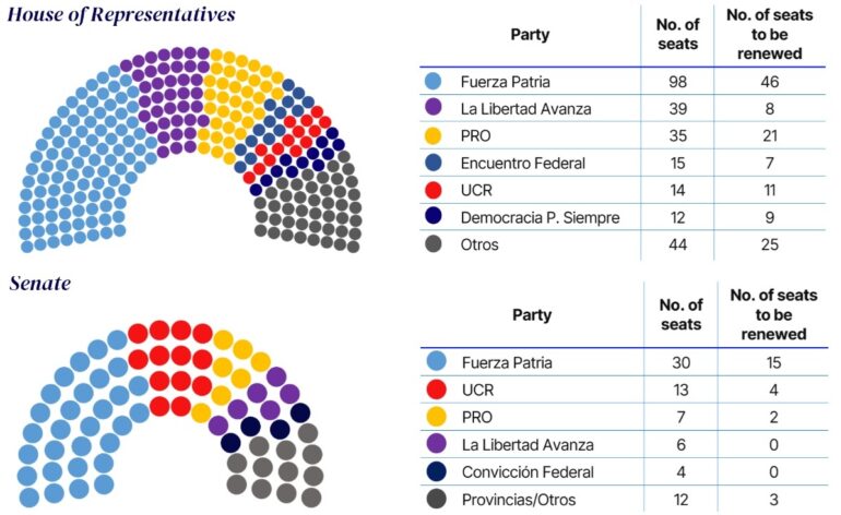 Politics: the most important election(s) of 2025 – ussa news