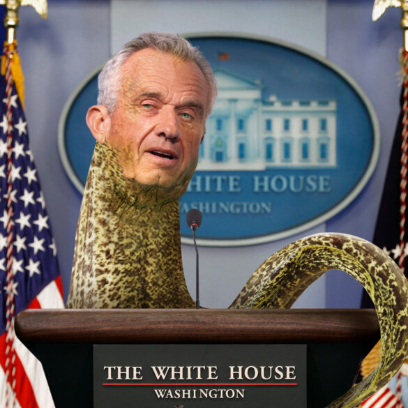Satire news: limbless, slippery rfk jr.: ‘becoming an eel is