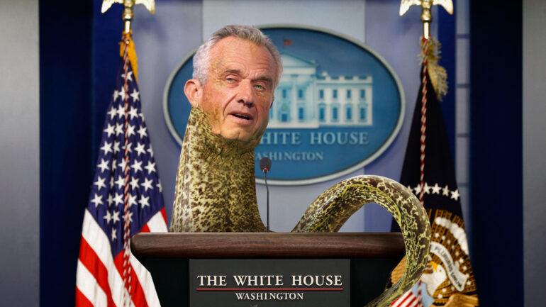 Satire news: limbless, slippery rfk jr.: ‘becoming an eel is