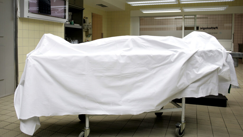 Satire news: report: your naked body will make entire morgue