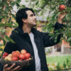Satire news: tips for apple picking the onion