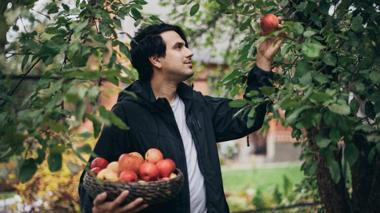 Satire news: tips for apple picking the onion