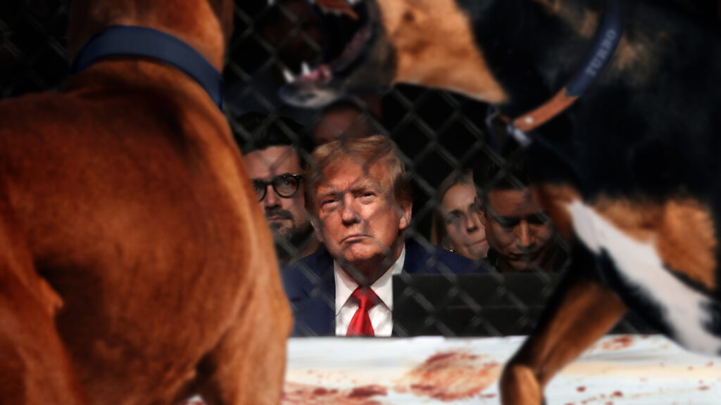 Satire news: trump attends dogfighting match the onion