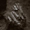 The 30,000-year-old stone tool bundle as discovered at Milovice IV archaeological site.