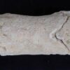 Ancient bone whistle found in Tell el-Amarna, Egypt.
