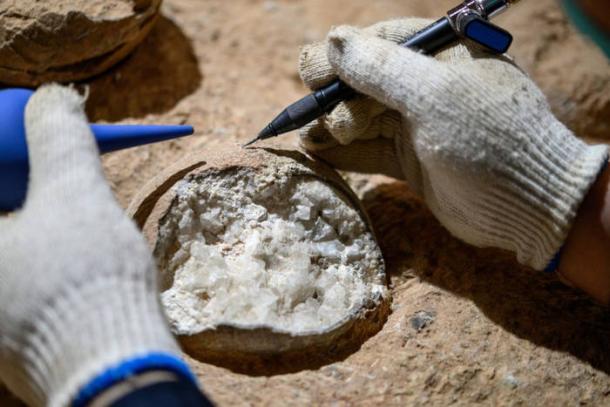 Scientist dissecting one of the Yunyang dinosaur eggs