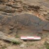 Rock inscription found on the Tibetan plateau found to describe a mission for the quest for immortality