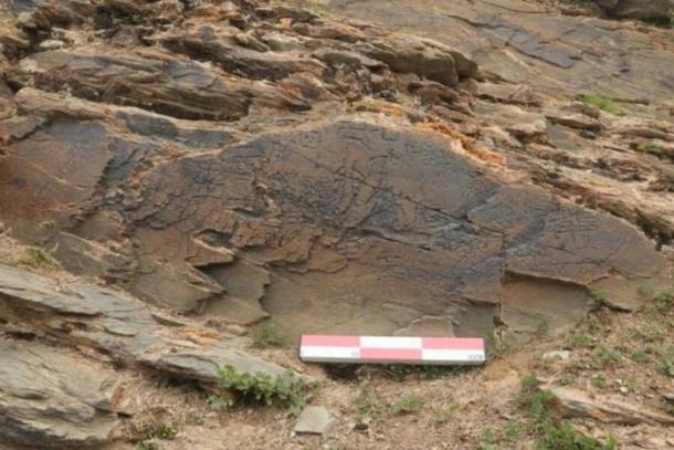 Rock inscription found on the Tibetan plateau found to describe a mission for the quest for immortality