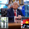 Science & tech: tiktok parent bytedance to keep 50% of