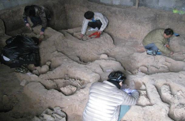 The team excavating an ancient hunter-gatherer cemetery in Guangxi, southern China