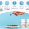 ProDen’s Plaque Off dental powder helps prevent the formation of new plaque, softens existing tartar and improves bad breath, according to ProDen.