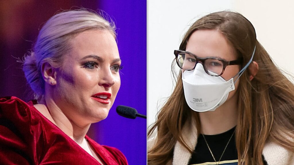Travel & lifestyle: meghan mccain digs at 'nepo baby' advocate