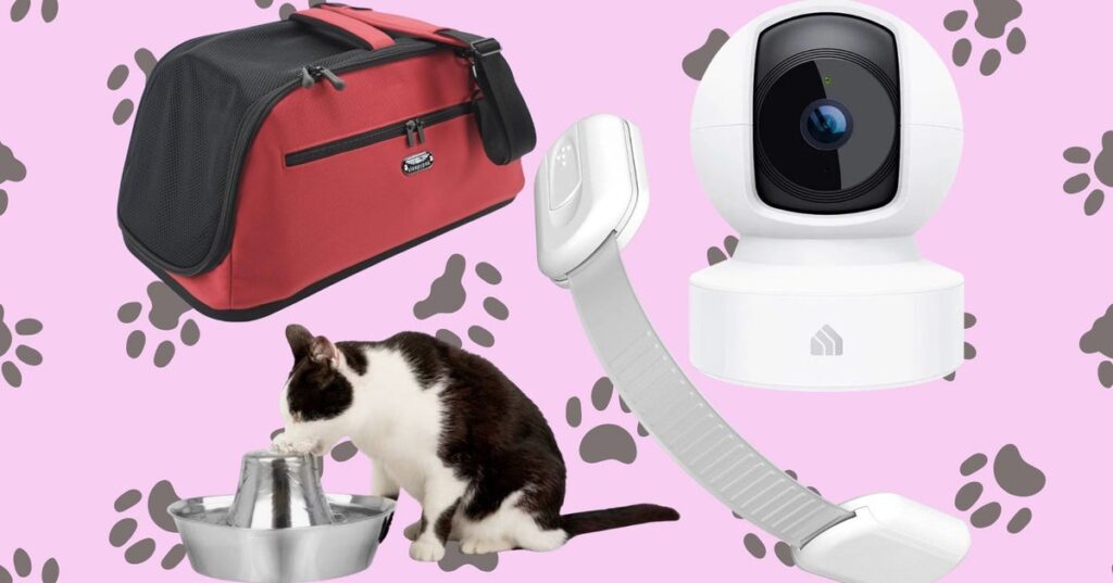 Travel & lifestyle: the top things you need if you're