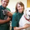 Holistic Vet Exposes Big Pharma’s Grip On Veterinary Medicine — And How Natural Healing Offers Hope * 100PercentFedUp.com * by Noah