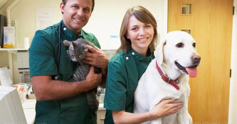 Holistic Vet Exposes Big Pharma’s Grip On Veterinary Medicine — And How Natural Healing Offers Hope * 100PercentFedUp.com * by Noah