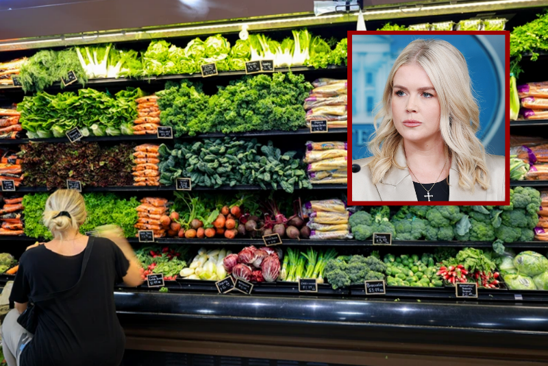 Leavitt slams Democrats as shutdown jeopardizes SNAP benefits for millions – One America News Network