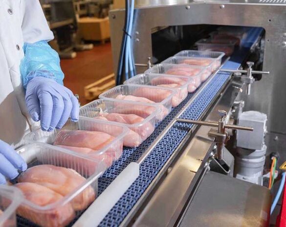 Packaged chicken breasts on a factory conveyor belt.