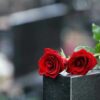 Two red roses on a gravestone.