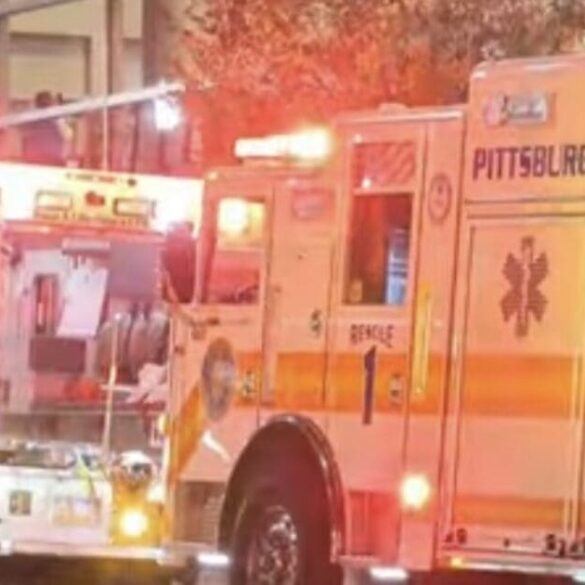 NHL Fan Severely Injured After Falling From Upper Level Of Arena During Game * 100PercentFedUp.com * by Danielle