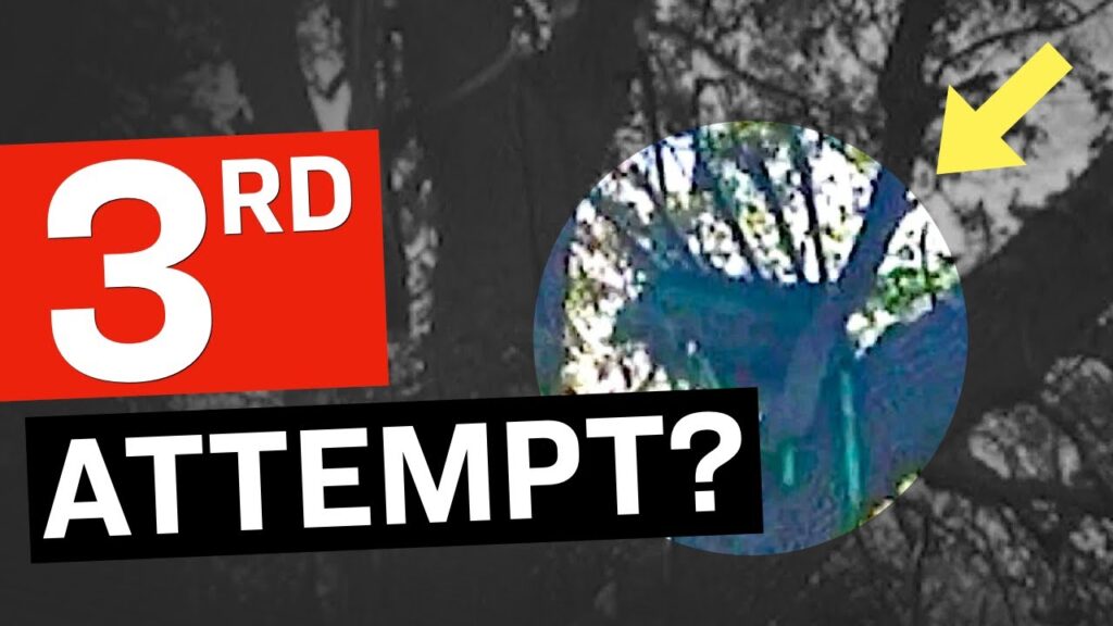 A "Sniper's Nest" Discovered Near Trump's Plane Exit: All That We Know