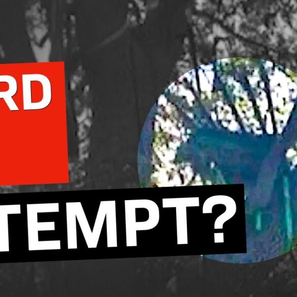 A "Sniper's Nest" Discovered Near Trump's Plane Exit: All That We Know