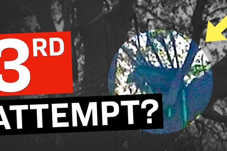 A "Sniper's Nest" Discovered Near Trump's Plane Exit: All That We Know