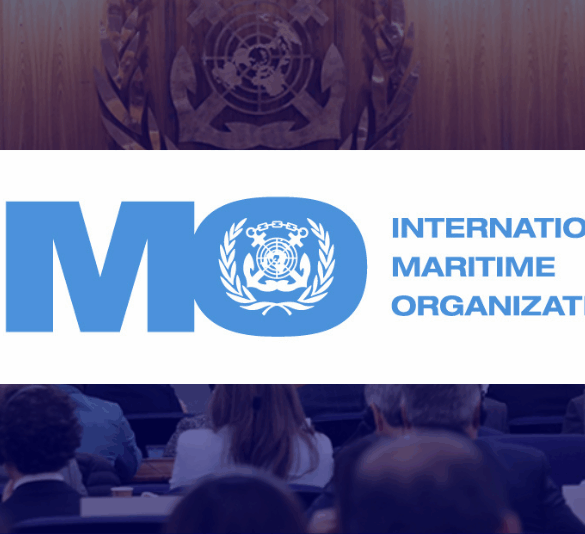 Politics: hey ho, imo has gotta go! – one america