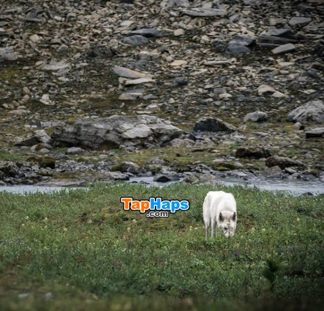 Politics: hiker falls 600ft down mountain, rescuers find her and