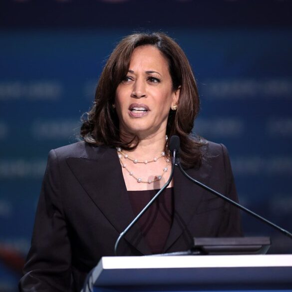 Politics: “profanity laced rejection” – dem donors declined to attend kamala