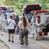 Politics: twu deserves a cheer for fighting hard for horse carriage