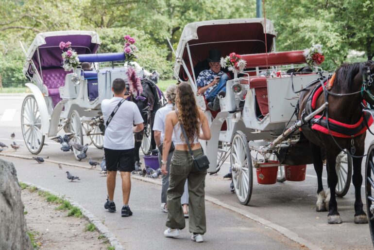 Politics: twu deserves a cheer for fighting hard for horse carriage