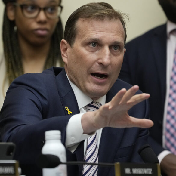 Politics: the left's most fervent, and most wrong, attack dog: