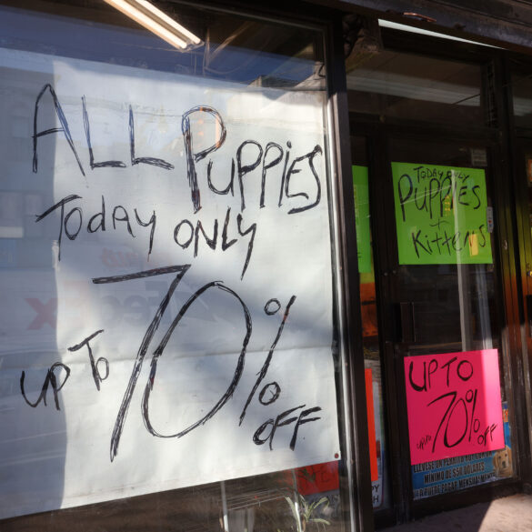 Politics: the war on pet stores and more: letters