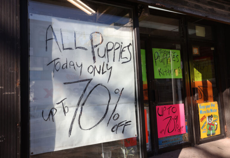 Politics: the war on pet stores and more: letters